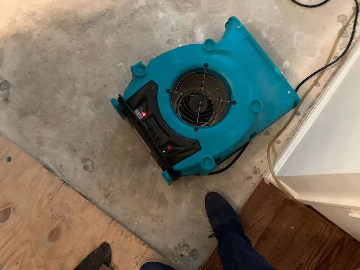 Air mover drying subfloor during Leak Detection & Repair in Townsend